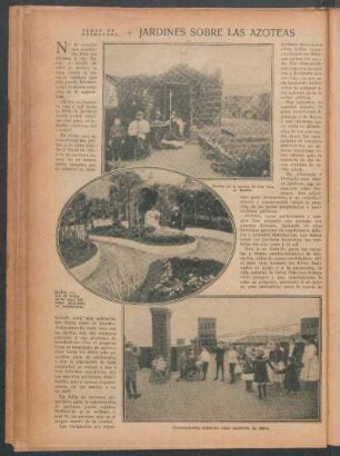 Jardines sobre las azoteas : Temas de primavera