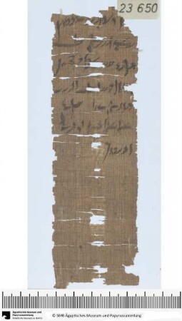 Demotischer Papyrus, Hochformatbrief