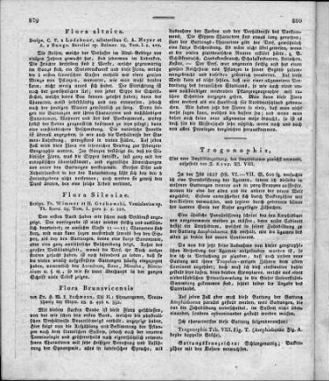 Flora Brunsvicensis,[oder Aufzählung und Beschreibung der in der Umgegend von Braunschweig wildwachsenden Pflanzen, nach Linnée's Sexualsystem, nebst Angabe der Synonymen, der Blüthezeit, des Vorkommens, der Fundorte u.s.w.] / von H. W. L. Lachmann. - Braunschweig : Meyer, 2. Theil: Phanerogamen. - 1828.