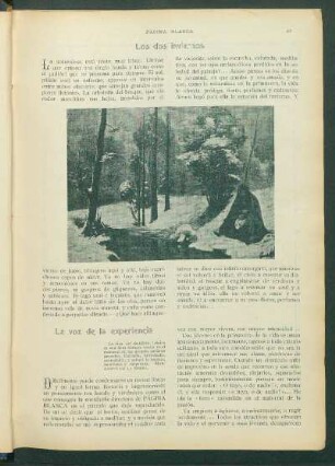 La voz de la experiencia