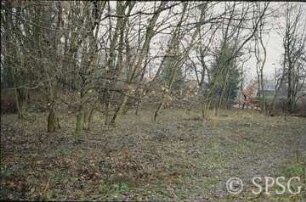 Potsdam, Park Sacrow, Partie östlich des Friedhofs.
