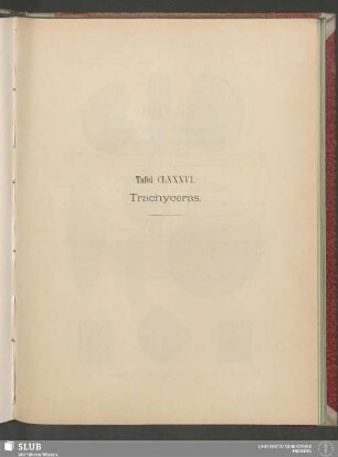 Tafel CLXXXVI. Trachyceras