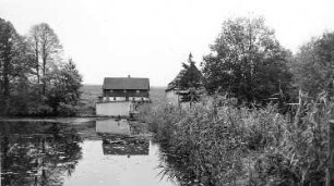 Oppach. Damm-Mühle