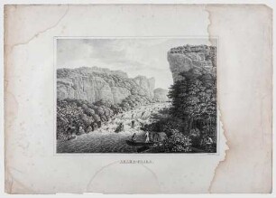 Atlas zur Reise in Brasilien von Dr. v. Spix und Dr. v. Martius - Arara-Coara