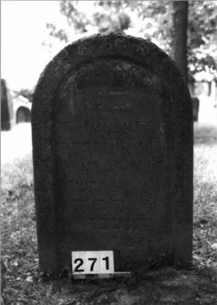 Grabstein 271 (Index: 100085122) Maße HxBxT: 100x58x12 cm Beschreibung: Stele, Rundbogenabschluß, Schriftfeld eingetieft: Grabstein 271 (Nachholaufnahme)