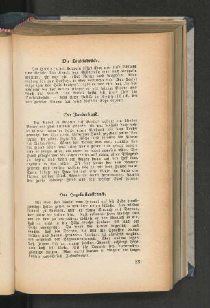 Die Teufelsbrücke.