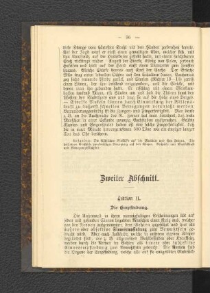 Zweiter Abschnitt.