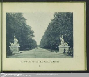 Herkules-Allee im Grossen Garten