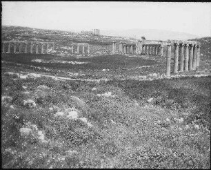 Forum in geras [Gerasa]