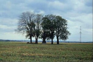 Mittelhäuser Dingstuhl; Landgericht der Thüringer Landgrafen, Baumgruppe und Gedenksäule