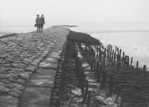 Instandsetzung Buhnen in Wangerooge/Nordsee