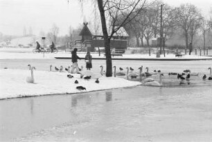 Winterstimmung in der Günther-Klotz-Anlage