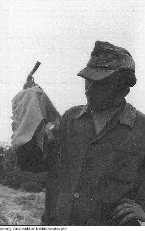 1. Landwirtschaftliche Leistungsschau, 8. Juli 1950