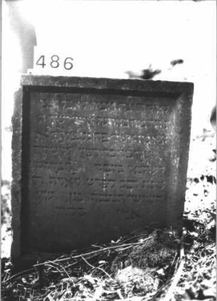 Grabstein 486 (Index: 100113628) Material: Sandstein Maße HxBxT: 66x67x14 cm Besonderheit: kulturhistorisch besonders wertvoll / hist.-wiss. Gründe (Alter): Grabstein 486