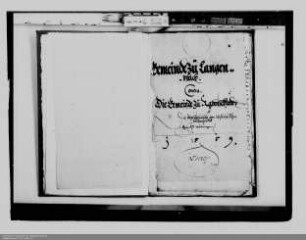 . Gemeinde Langenaubach ./. Gemeinde Rabenscheid: Besitz- und Weiderechte an Waldungen (Atzelheimische oder Stifts-Hecke): Band 1
