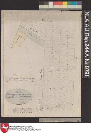 Die Kolonate bei GROSSWOLDE südlich der Großwoldmer Gaste Kolorierte Zeichnung von Braun Papier Format 49,0x36,0 M 1:4.700