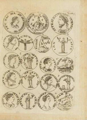 Abbildung: Tab. III. p. 6