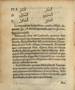 Grammatica Arabica