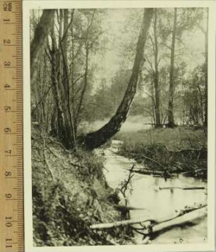Fotografie, Beutnitz (Bytnica)