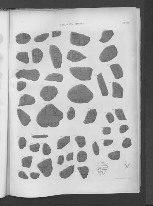Fragmenta Minora.
