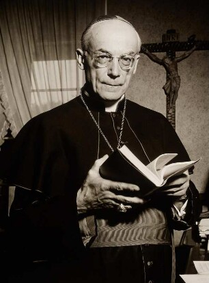 Dr. Joseph Frings, Kardinal