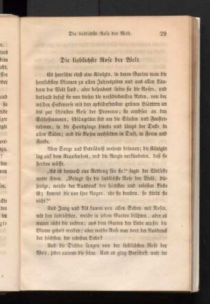 Die lieblichste Rose der Welt.