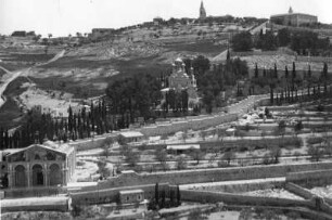 Schiffsreise Ägypten - Palästina - Syrien. Stadtansicht von Jerusalem mit Todesangstbasilika (Kirche aller Nationen) und Maria Magadalena-Kirche. Blick zum Ölberg