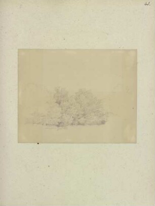 Klebebände, Band 15, Seite 41