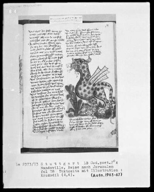 Jean de Mandeville, Reise nach Jerusalem — Krokodil, Folio 78recto