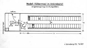 Modell: Kälbermast im Anbindestall (Allgemeingültige Einflußgrößen)