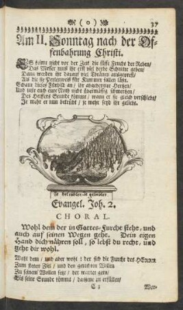 Am II. Sonntag nach der Offenbahrung Christi