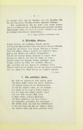6. Märkische Kiefern