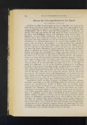 Möwen als Nahrungsschmarotzer bei Sägern
