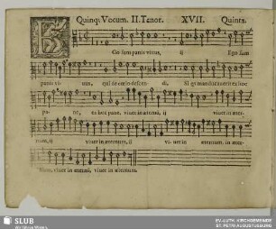 XVII. Ego sum panis vivus