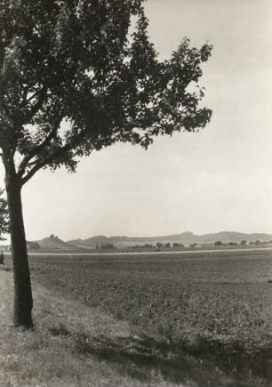 Harzvorland. Schichtstufen-Klippenlandschaft nördlich des Harzes (Quedlinburger Sattel). Ansicht von der Straße Quedlinburg - Westerhausen nach Westnordwesten