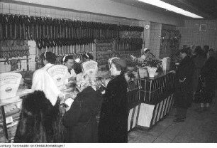 Dresden Striesen. Bau, Januar 1958 - Januar 1959