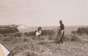 Rügen, Frauen bei der Ernte an der Küste mit Blick auf Kap Arkona
