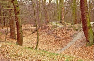 Ahrensfelde: Burg Arnesvelde: Graben der Vorburg