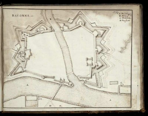 Bayonne