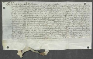 Eitelfriedrich Graf zu Lupfen, Landgraf zu Stühlingen, erteilt Hans Maister zu Horheim eine Wirtshauskonzession.