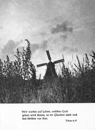 Kühlungsborn. Brunshöver Möhl, Ansichtskarte