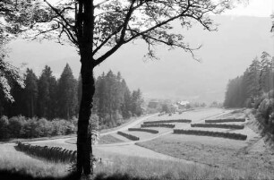 Schönegründ: Reihenheustadl im Murgtal bei Schönegründ
