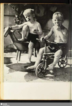 [Die Jungs auf dem Schaukelpferd und Fahrrad]