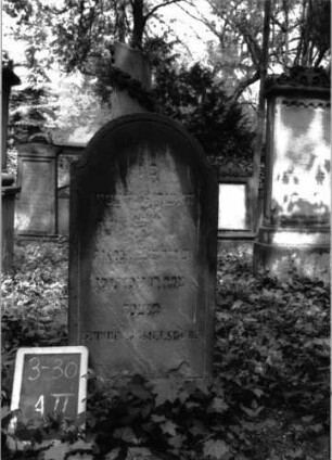 Grabstein A II/3/30