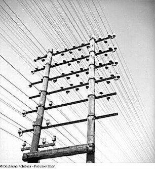 Deutschland. Telegrafenmast an einer Bahnstrecke. Teilansicht mit Isolatoren