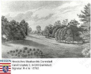 Herrnsheim in Rheinhessen, Schlosspark / Ansicht vom Schloss aus gegen Norden