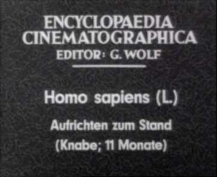 Homo sapiens - Aufrichten zum Stand (Knabe, 11 Monate)