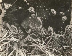 Europäischer Laubfrosch (Hyla arborea L.), Laich im Wasser