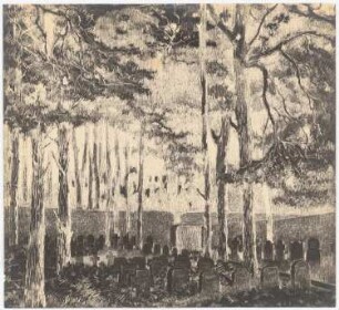 Waldfriedhof Wilmersdorf, Stahnsdorf: Perspektivische Ansicht mit Blick auf das Gräberfeld (Ausschnitt)