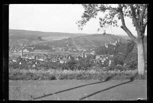 Blick aus Richtung Knackenberg auf Wertheim mit Burg und Spitzen Turm